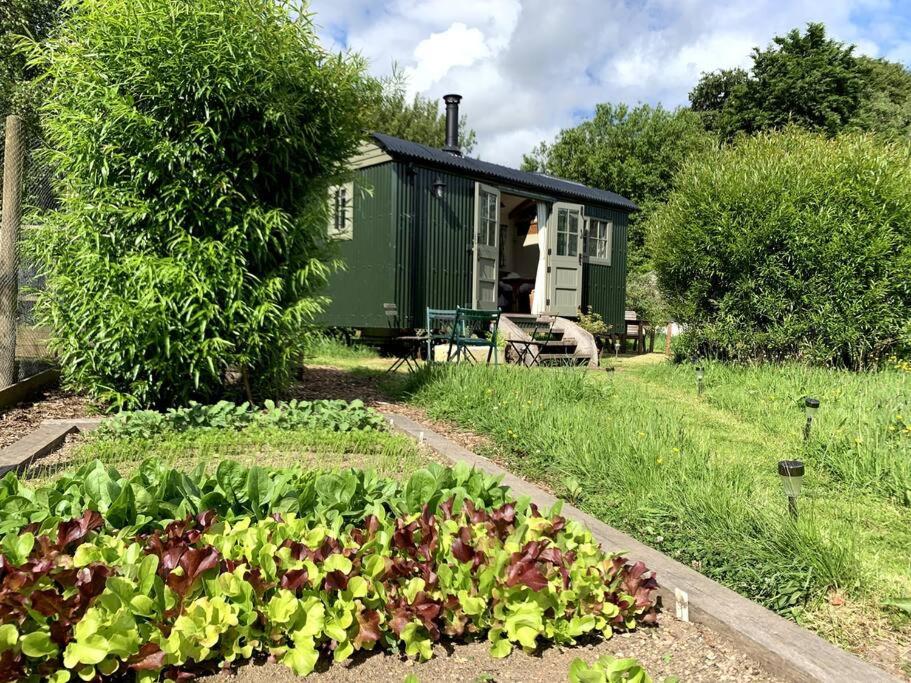 Newton Abbot Vacations - Rushford Shepherd's Hut - Property Image 44