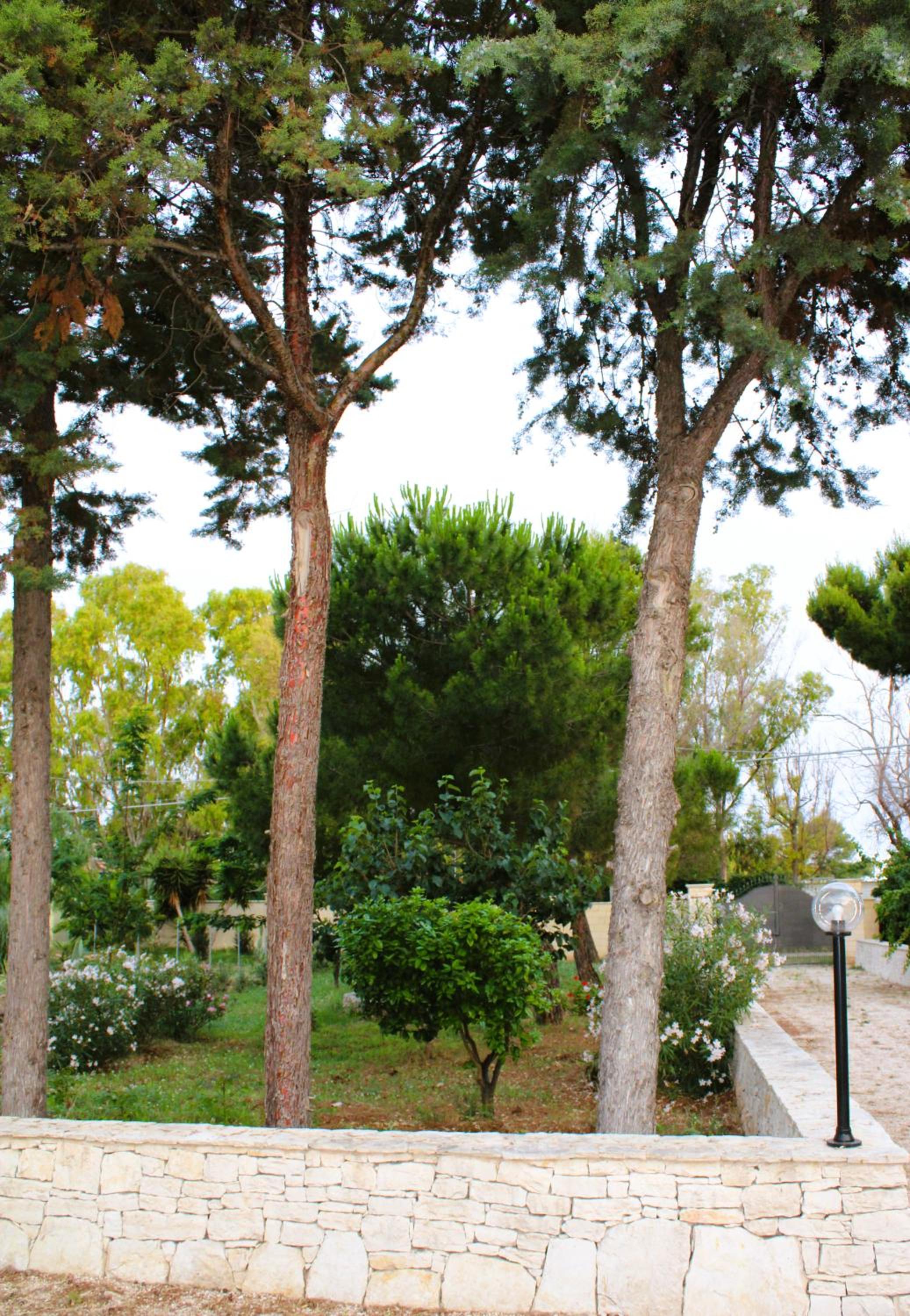 Villa Costanza