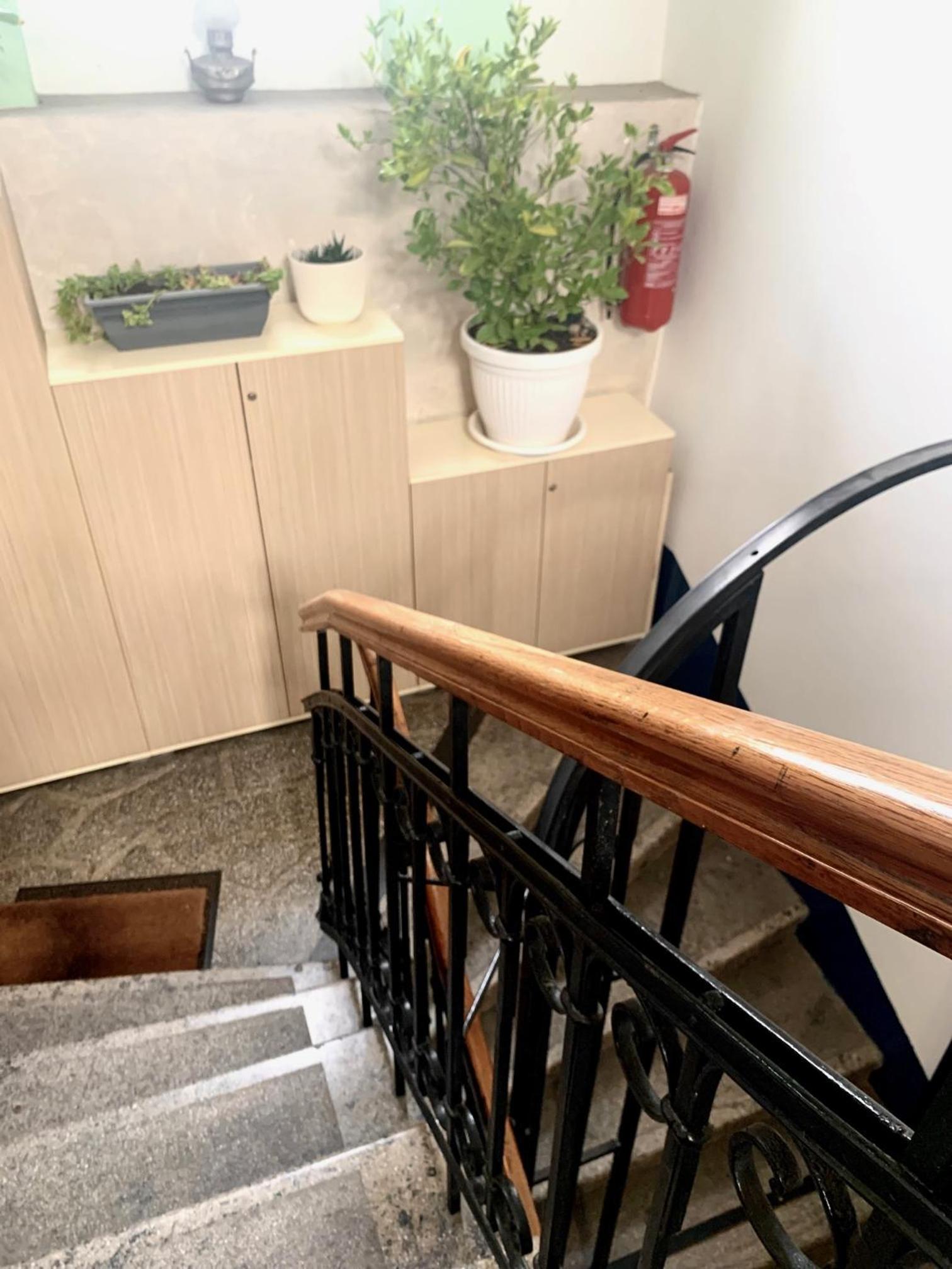 Apartment Mina