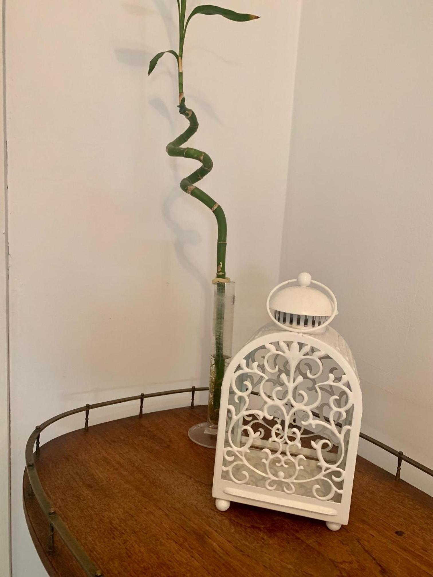 Apartment Mina
