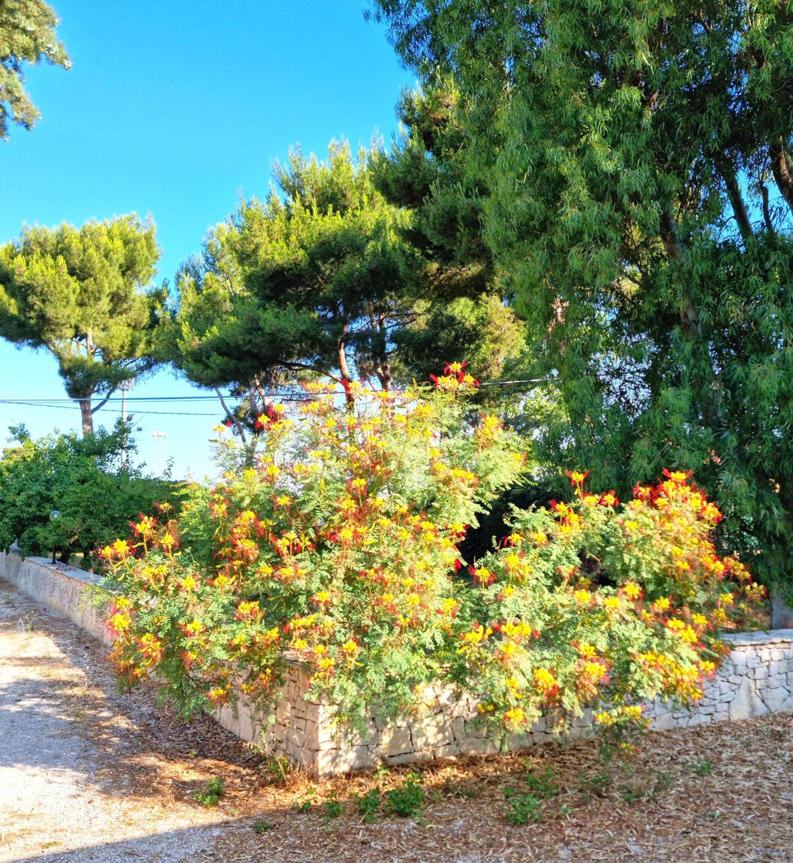 Villa Costanza