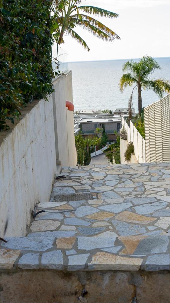 Palm Side Drymades