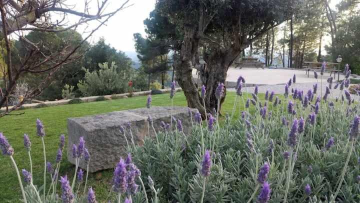 Quinta da Idalina