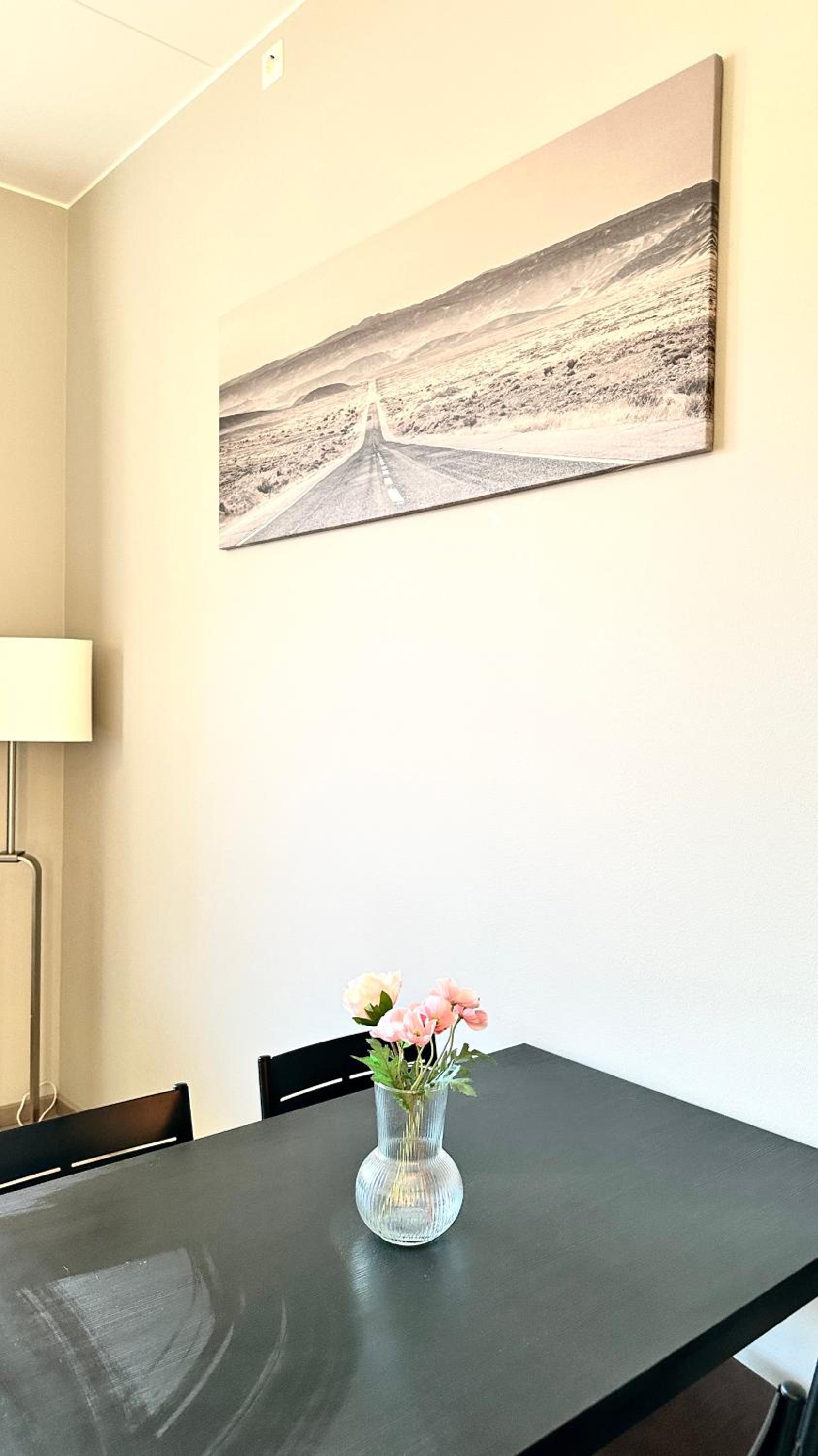 Brand new and modern apartment in Oslo center