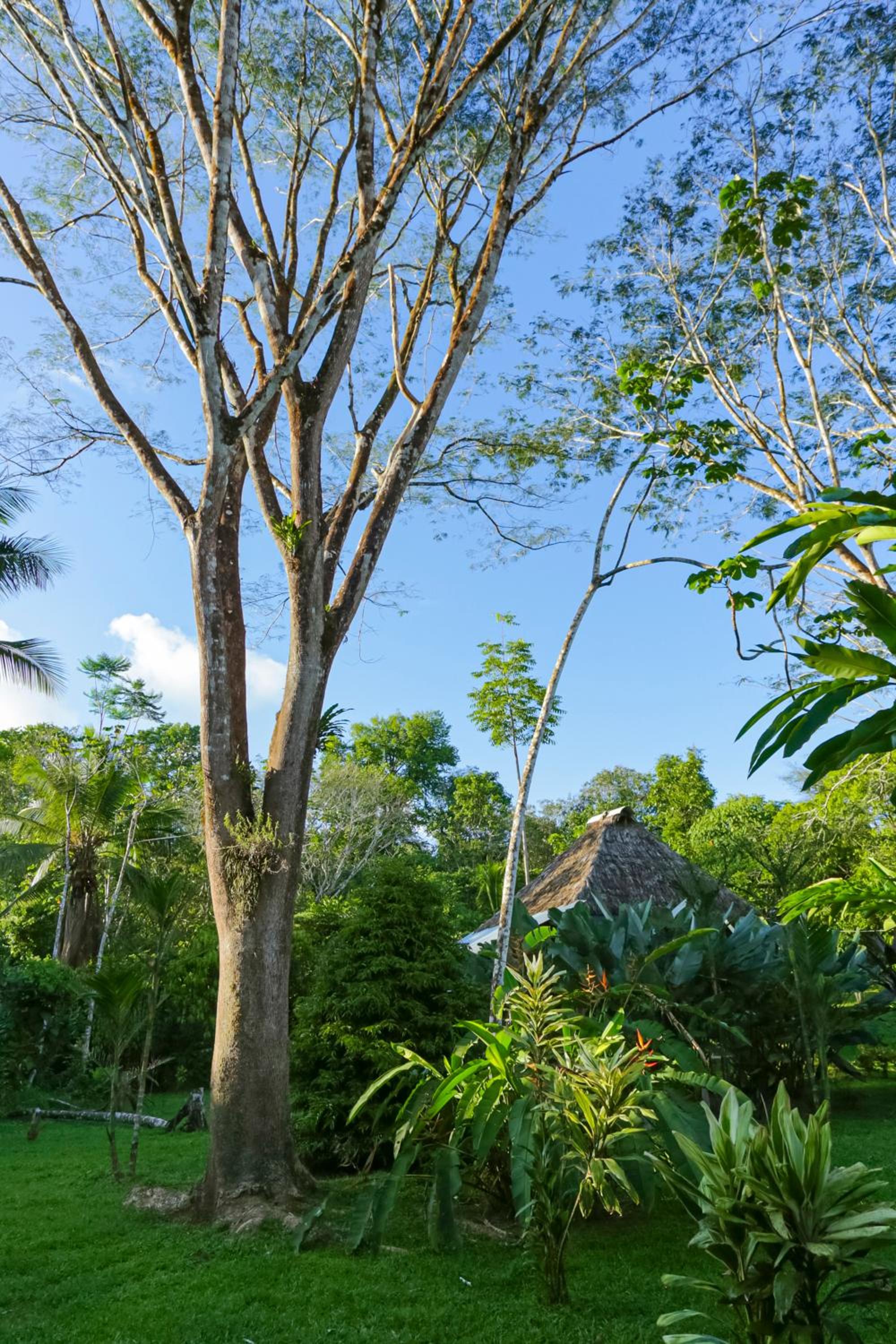 Casa Drake Lodge