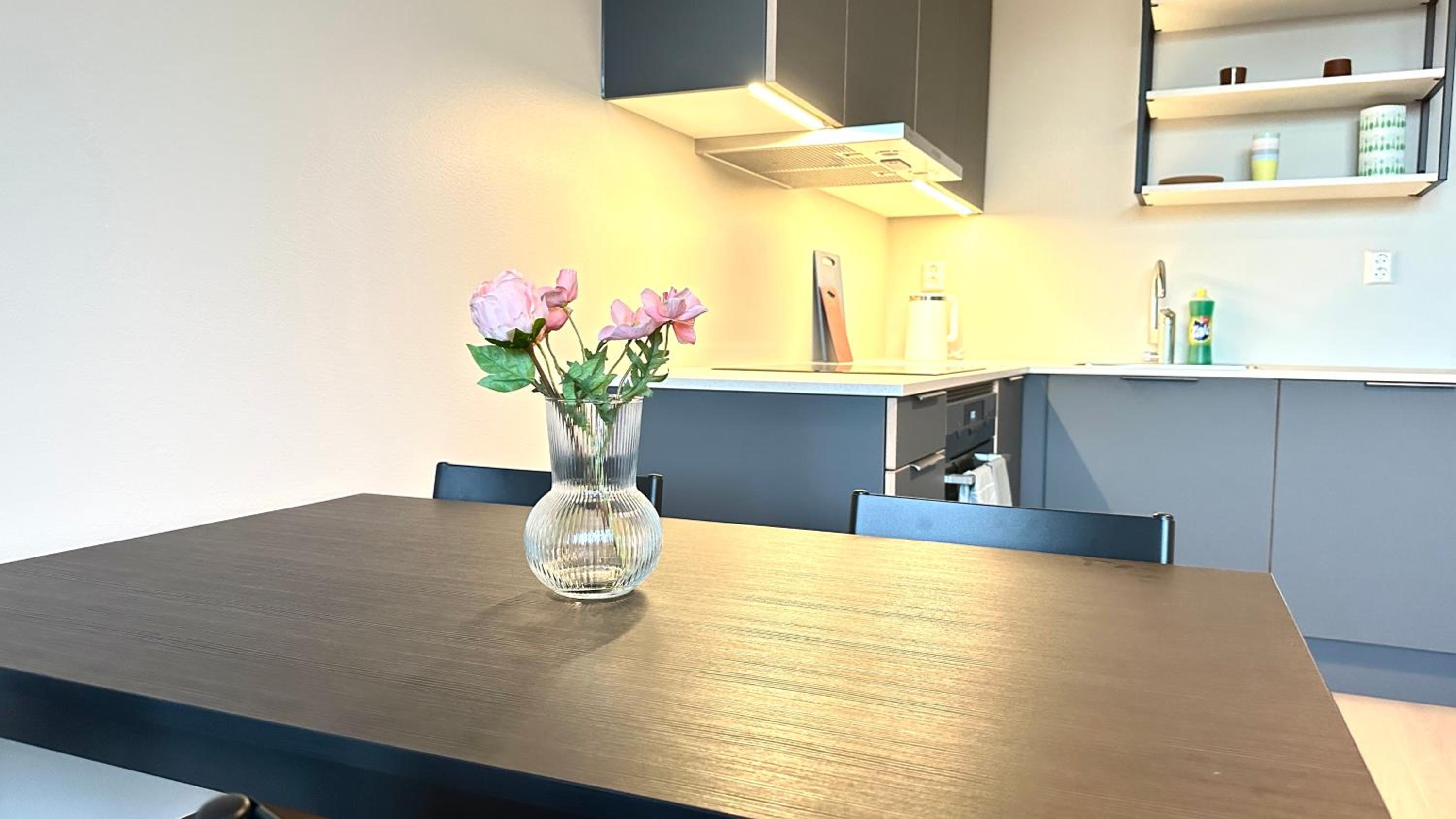 Brand new and modern apartment in Oslo center
