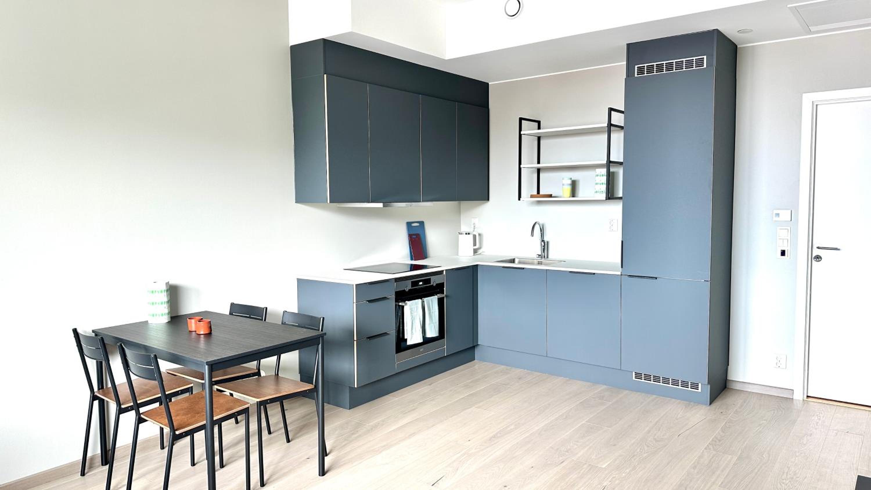 Brand new and modern apartment in Oslo center