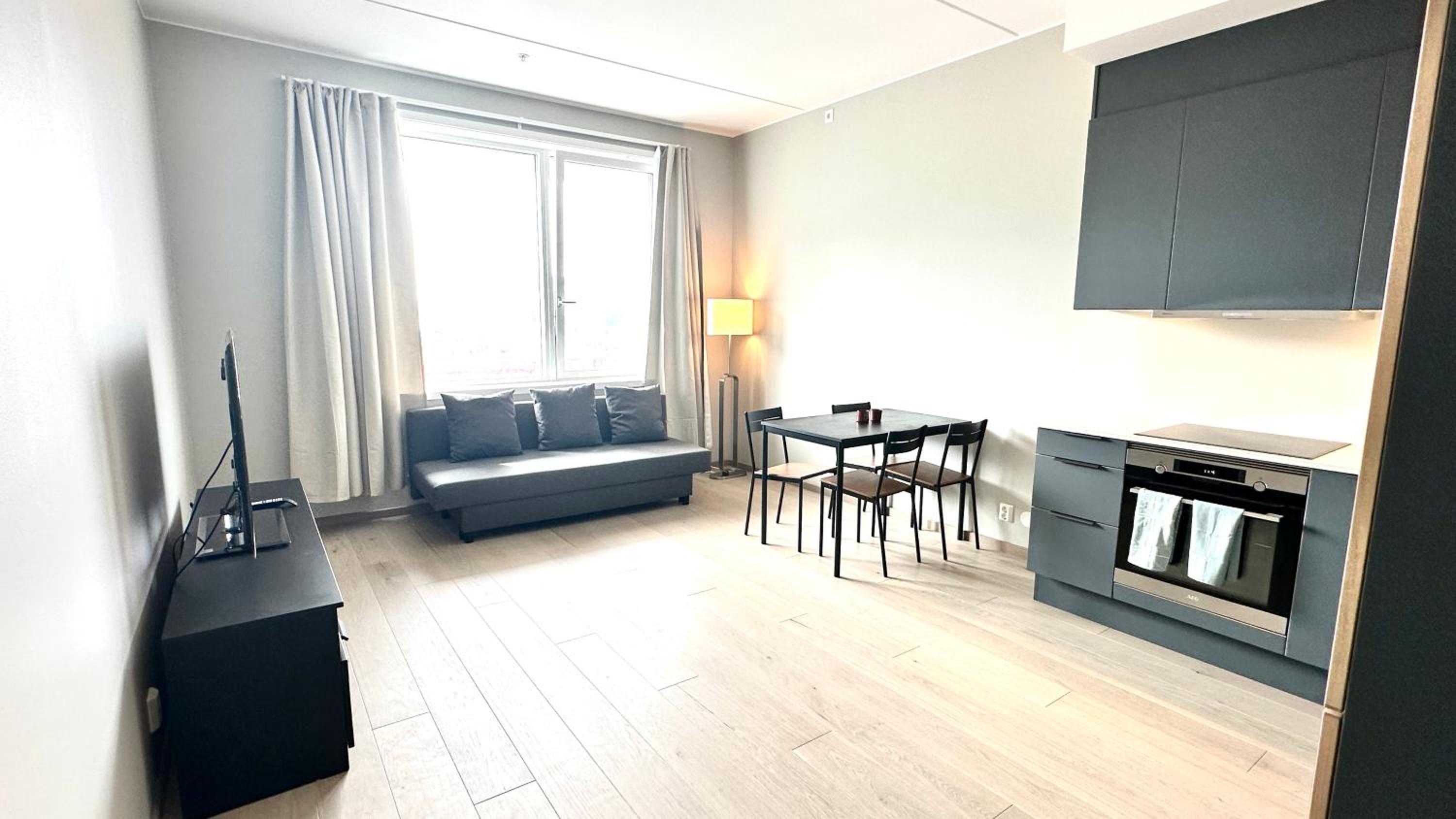 Brand new and modern apartment in Oslo center