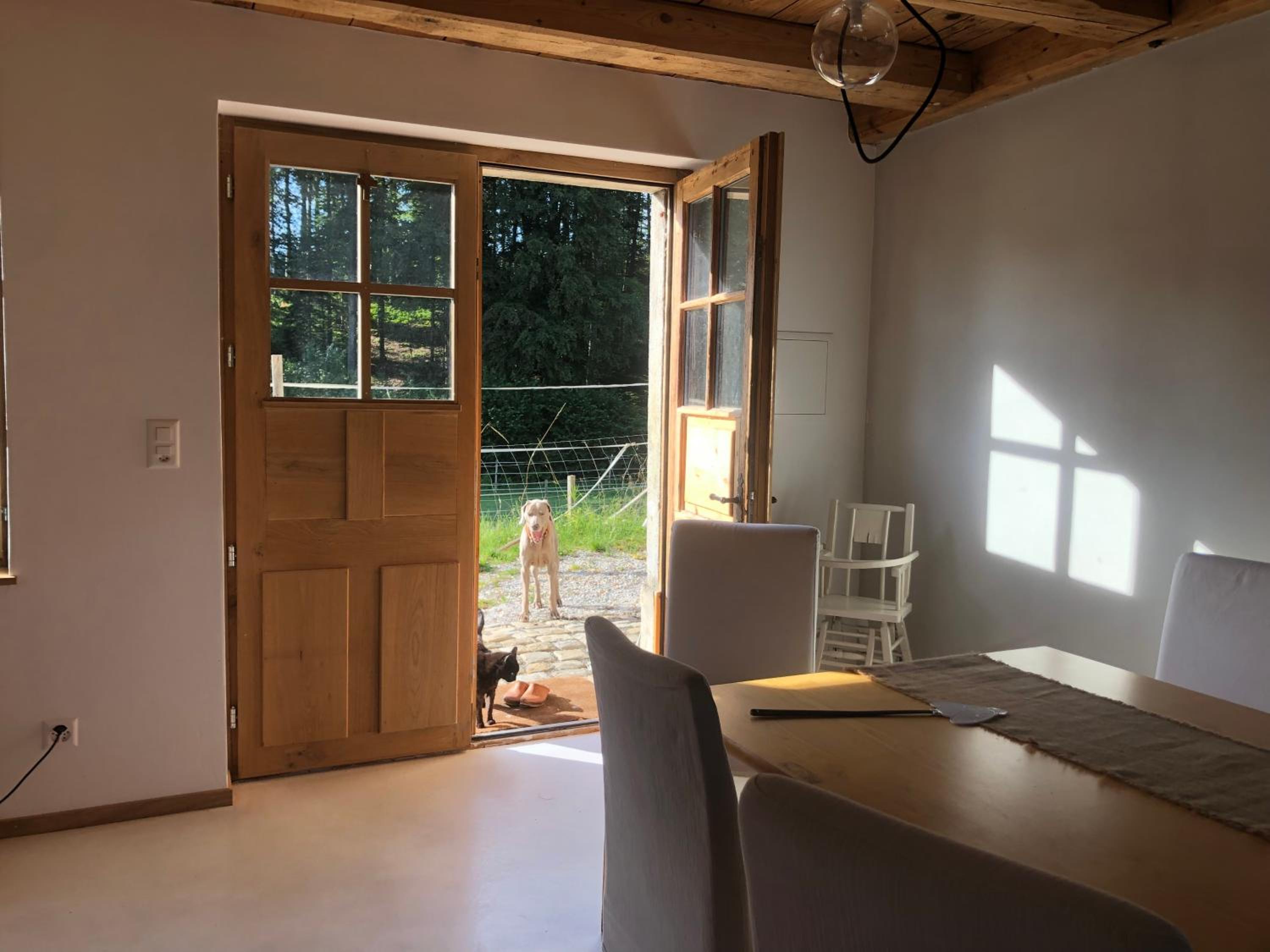 Sérénité et nature dans une ferme équestre - studio familial