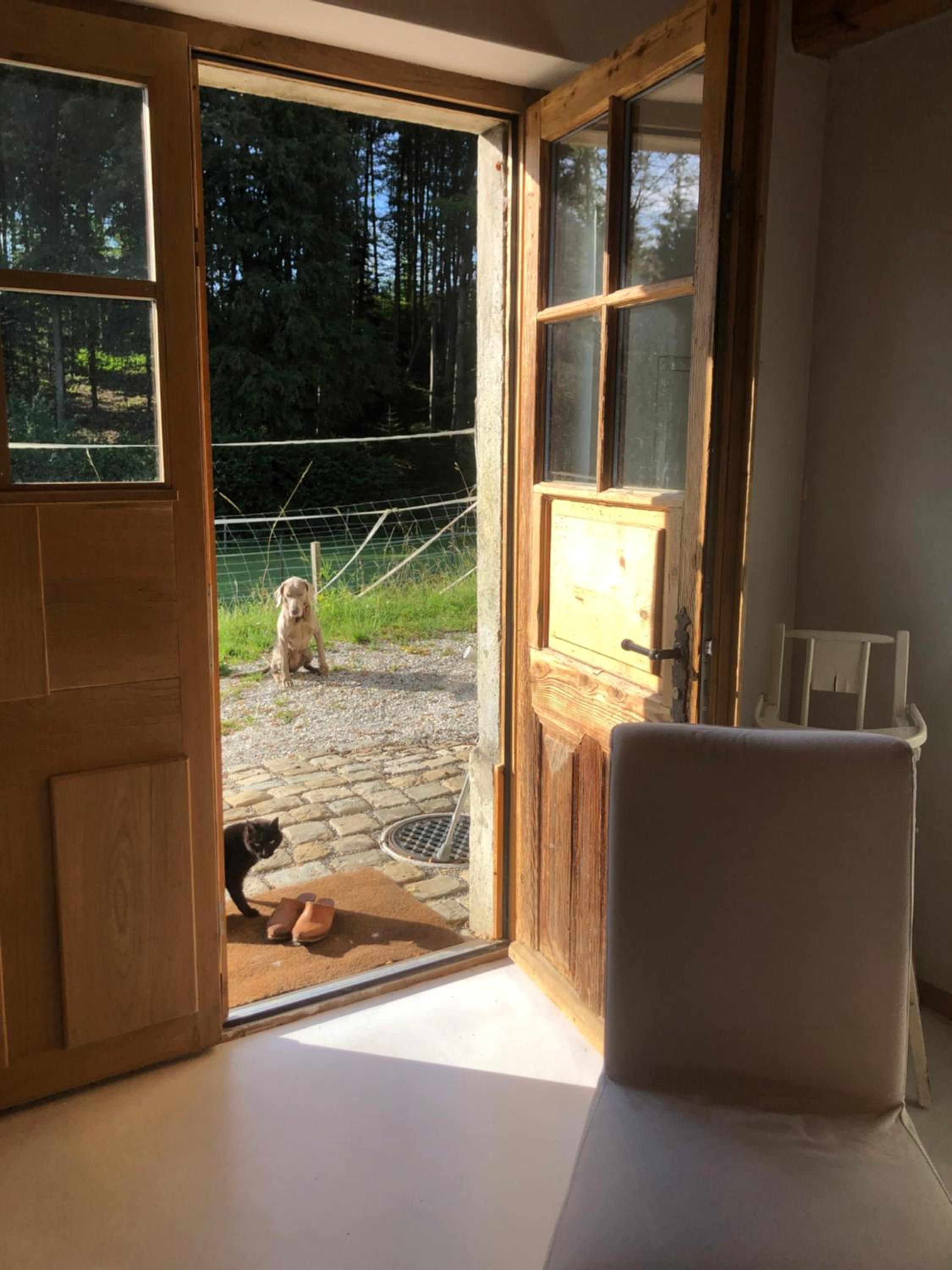 Sérénité et nature dans une ferme équestre - studio familial