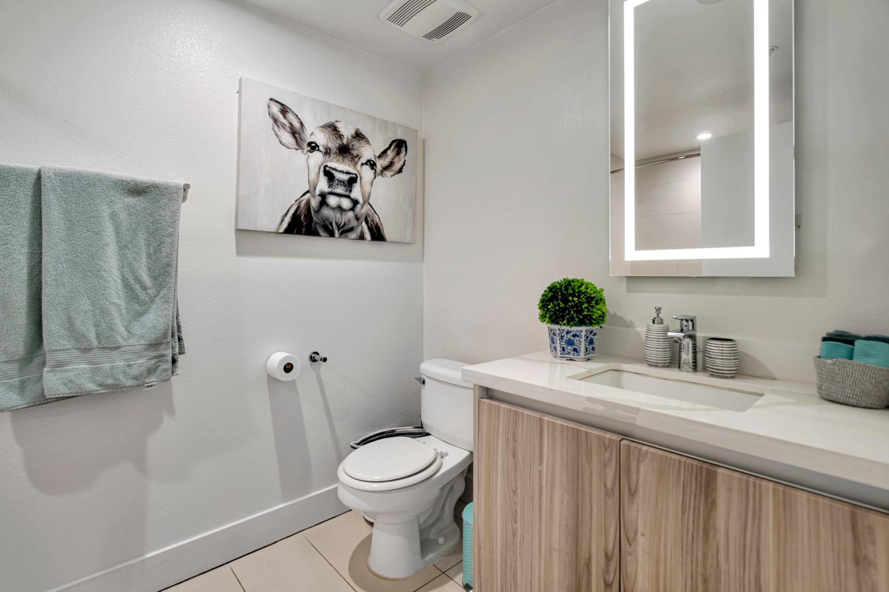 13 Luxury apartment