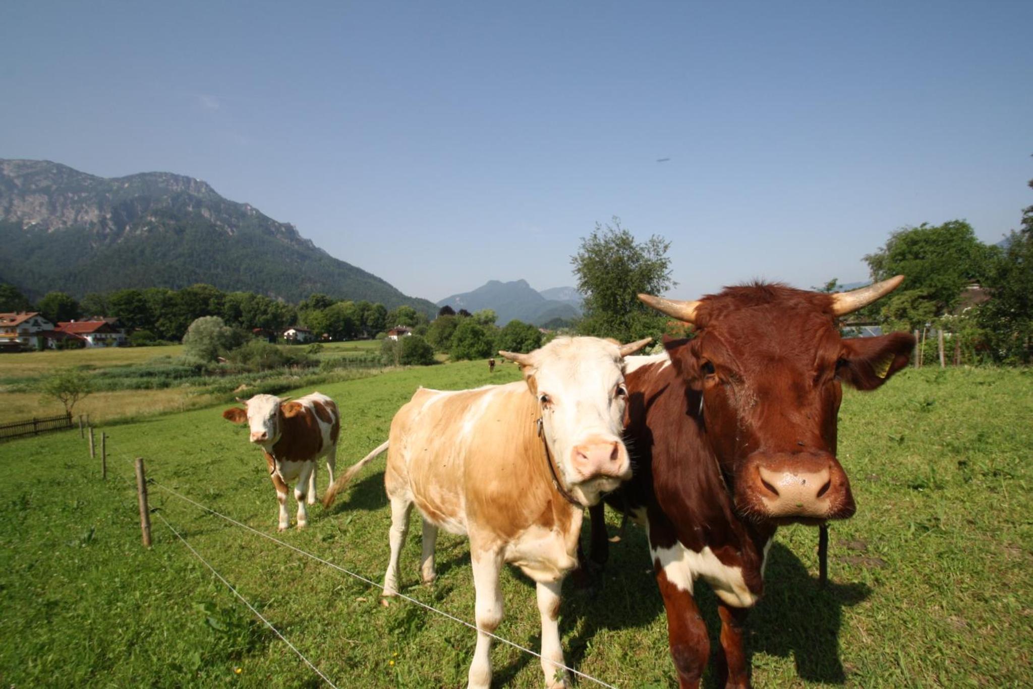 Bachbauernhof view 3