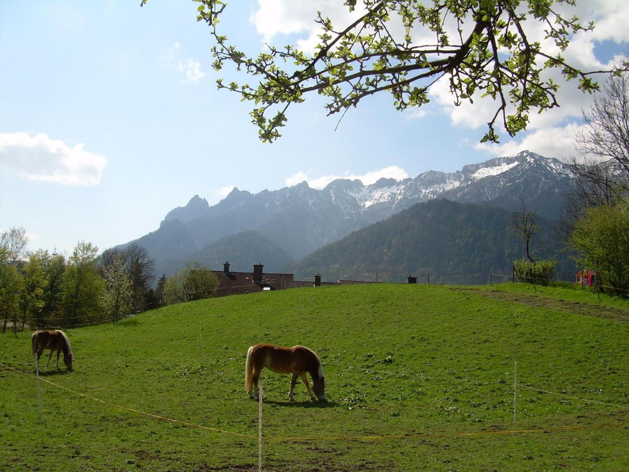 Bachbauernhof view 2