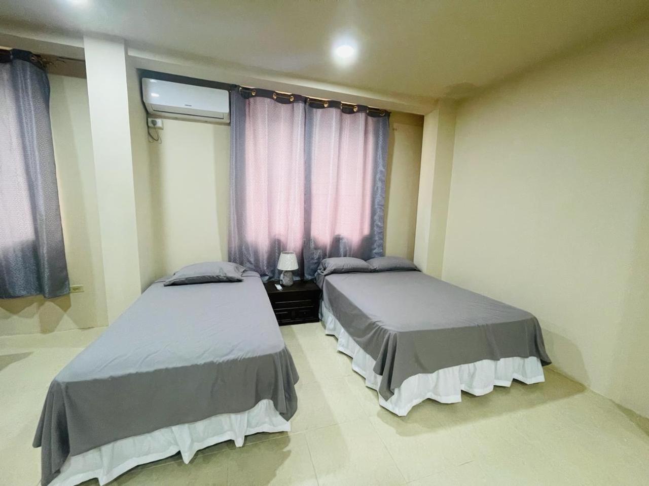 Alex Suite