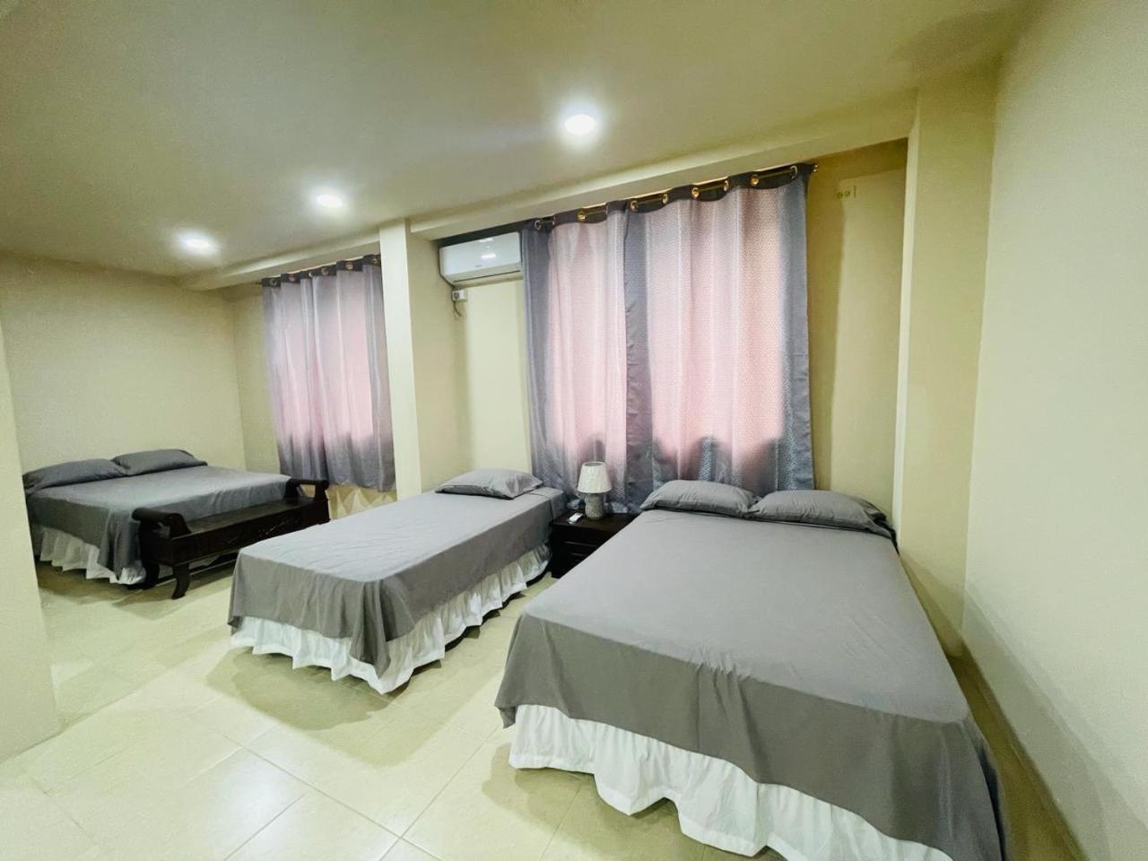 Alex Suite