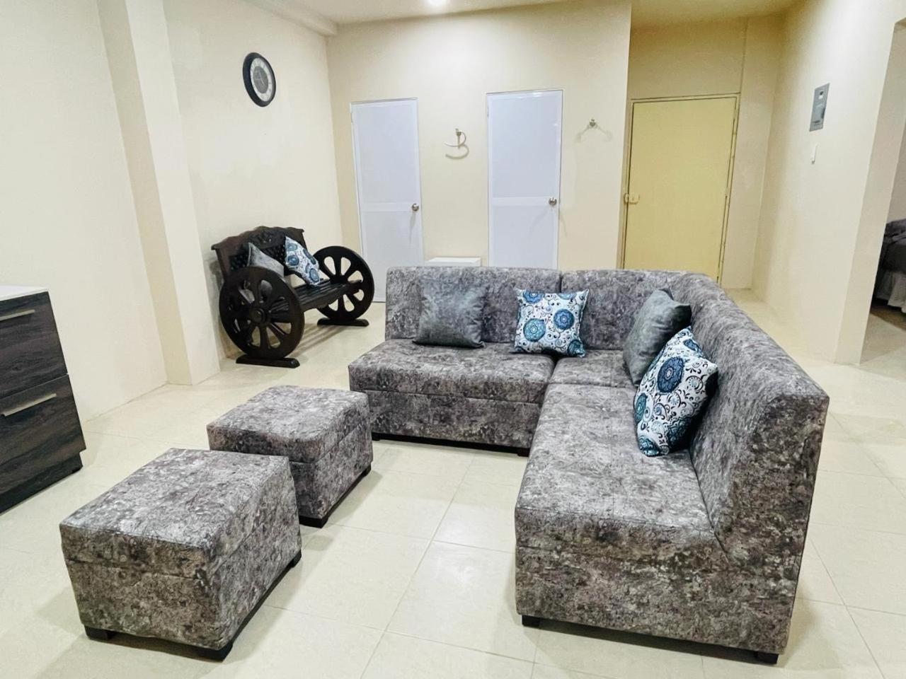 Alex Suite