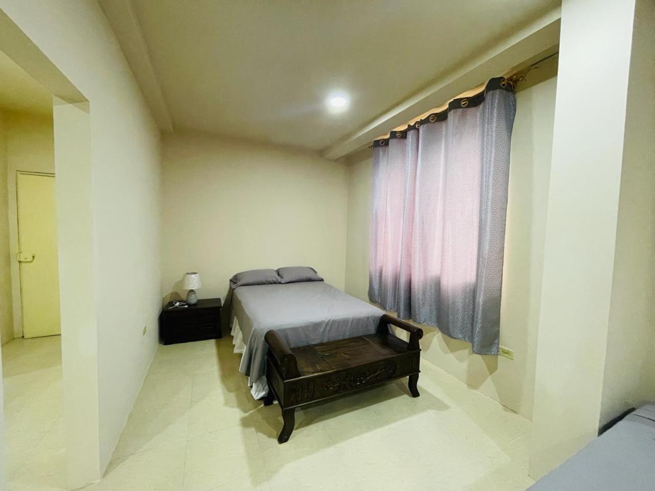 Alex Suite