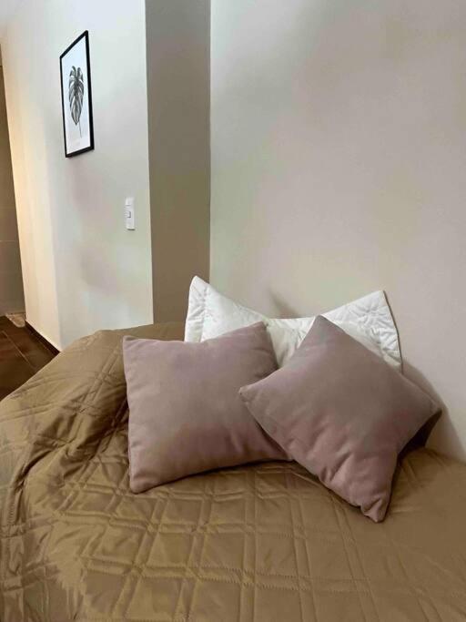 Departamento en zona residencial a 20 metros del parque general San Martín