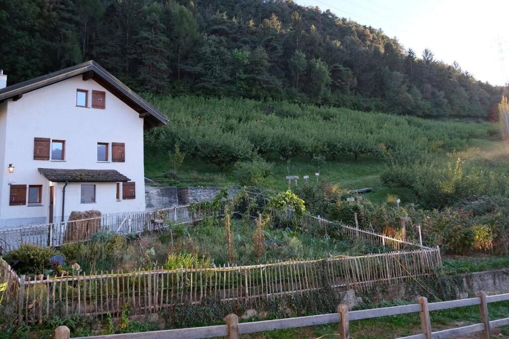 Maisonnette de campagne