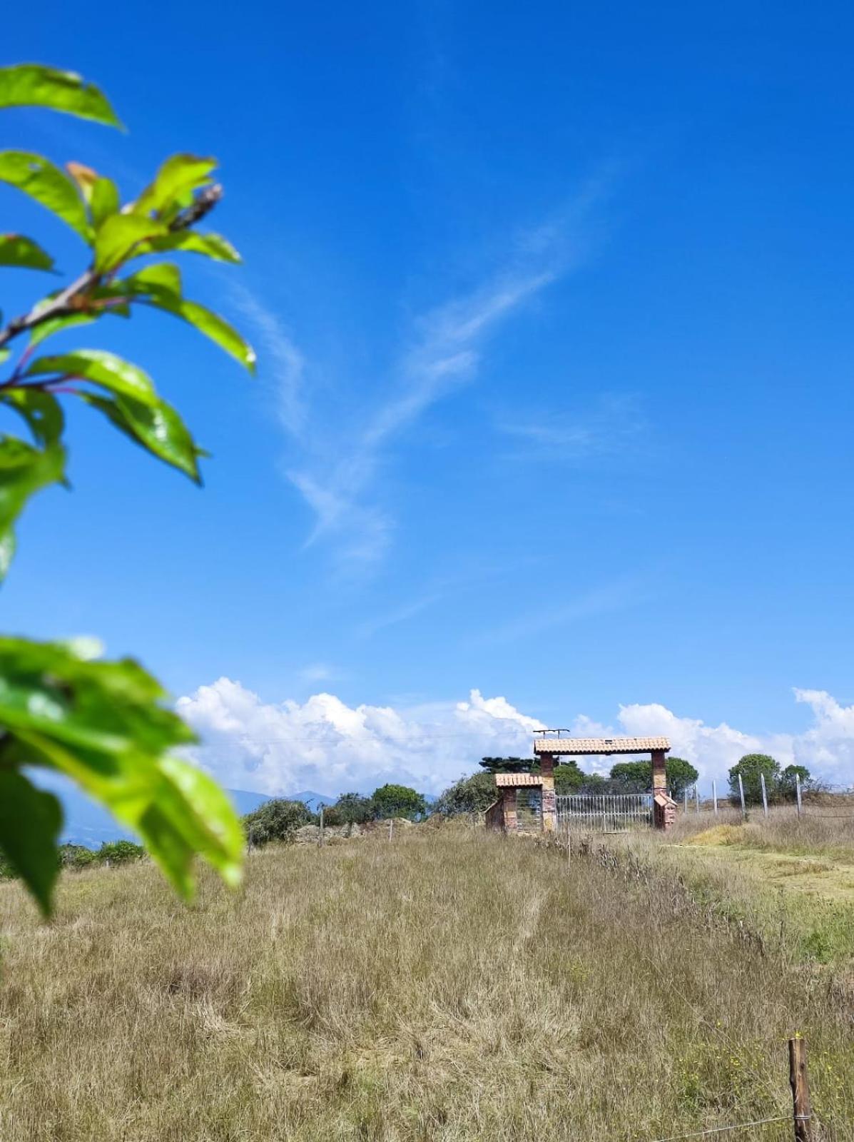 Finca Buenos aires