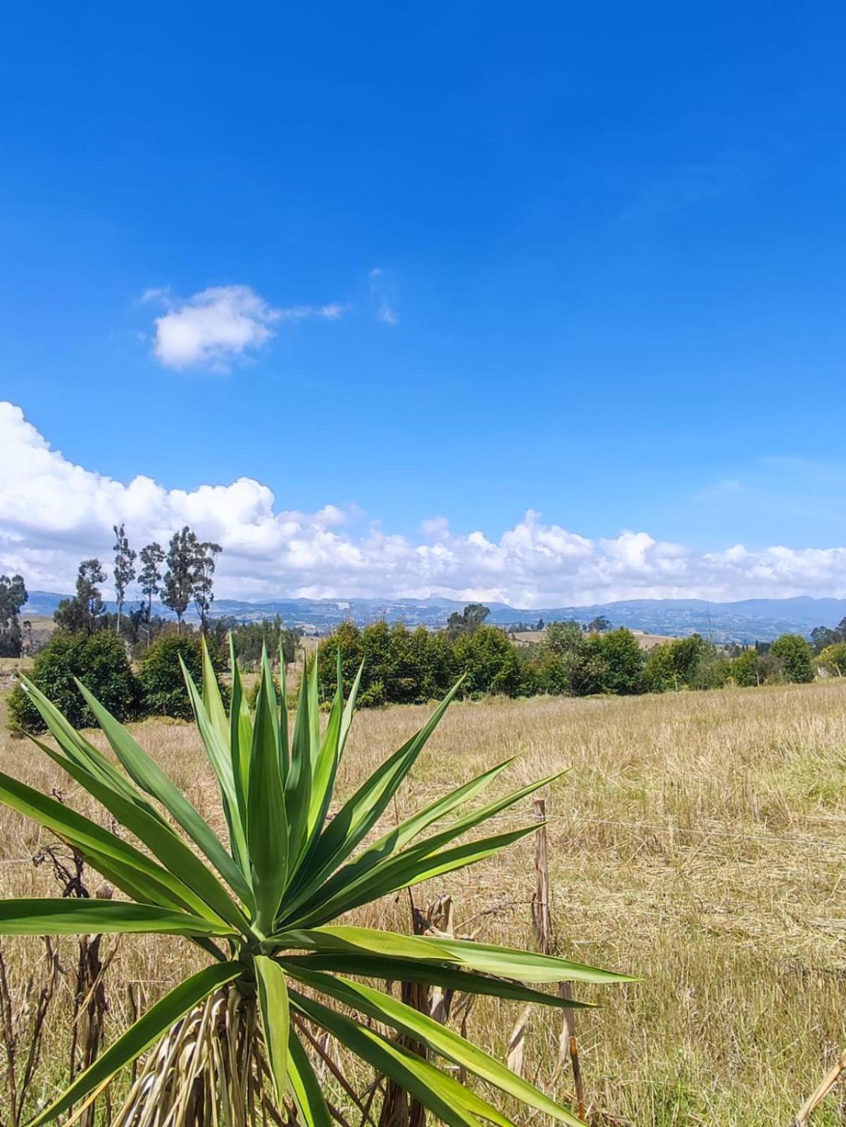 Finca Buenos aires
