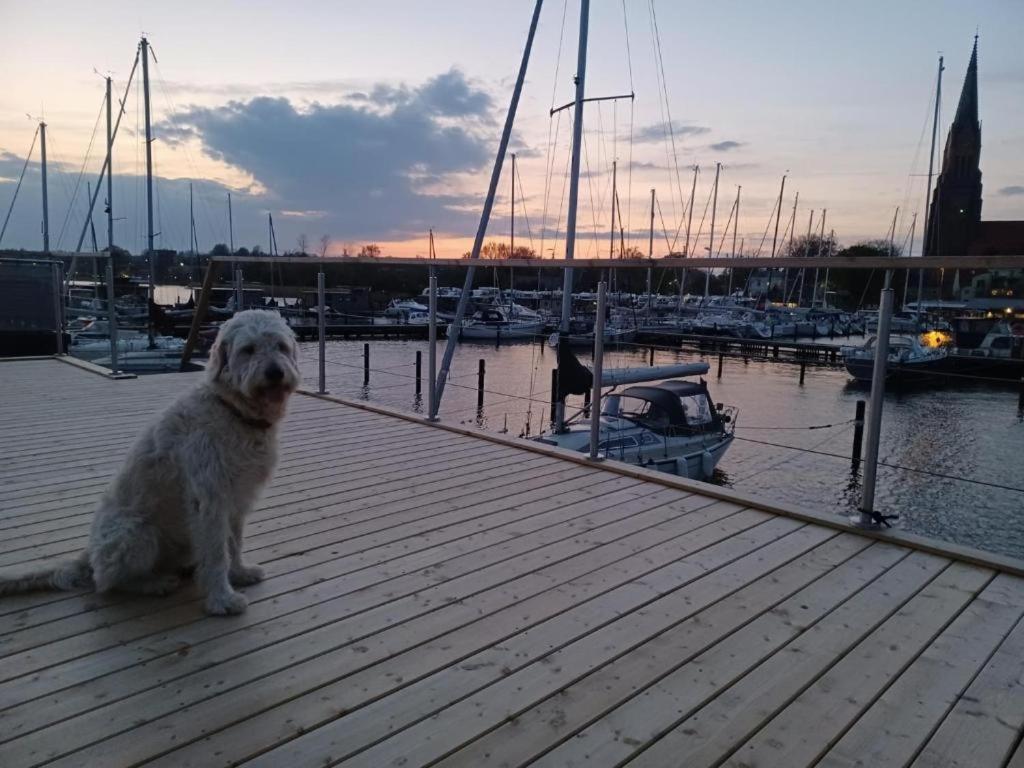 Hausboot Glücksmomente mit Dachterrasse in Schleswig am Ostseefjord Schlei