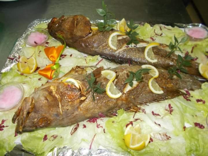 Photo 41