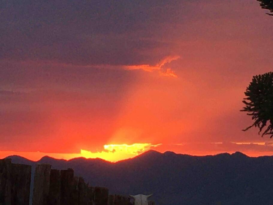 Suíte Pura Vista . Parede de vidro . Lareira