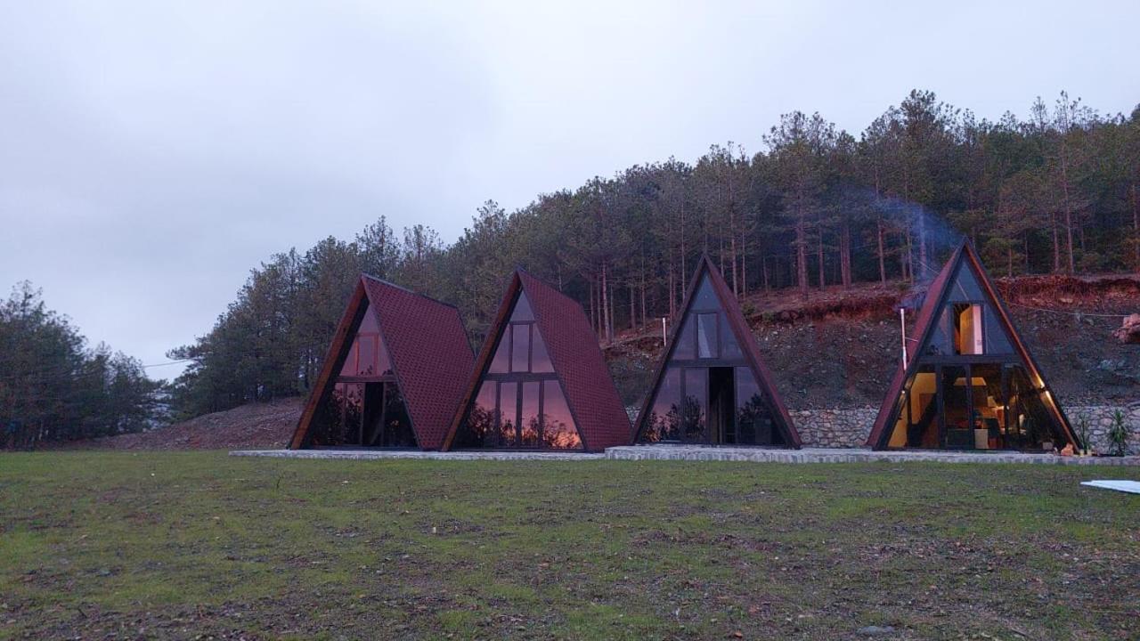 Vila Alpine Arlon Gjinar