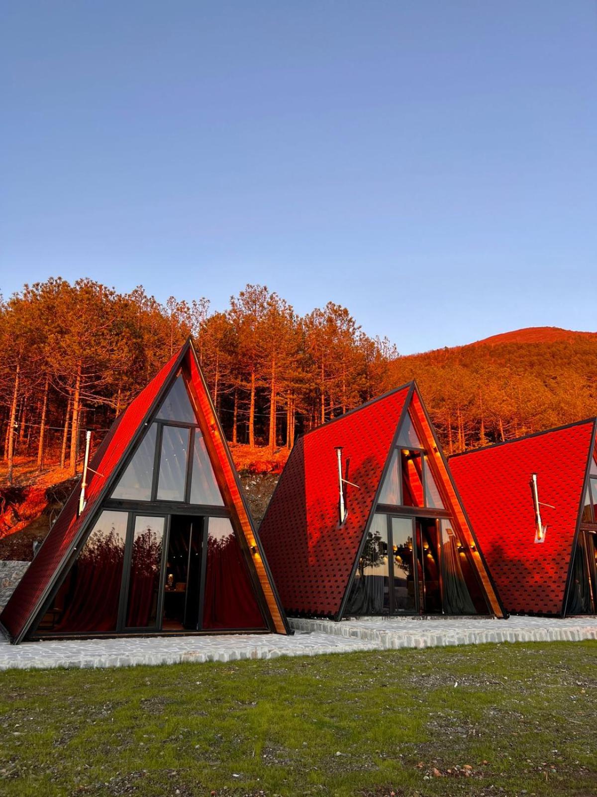Vila Alpine Arlon Gjinar