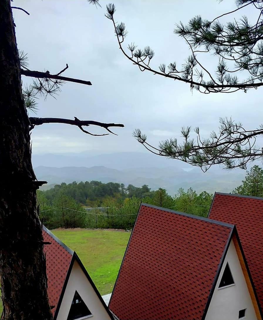 Vila Alpine Arlon Gjinar