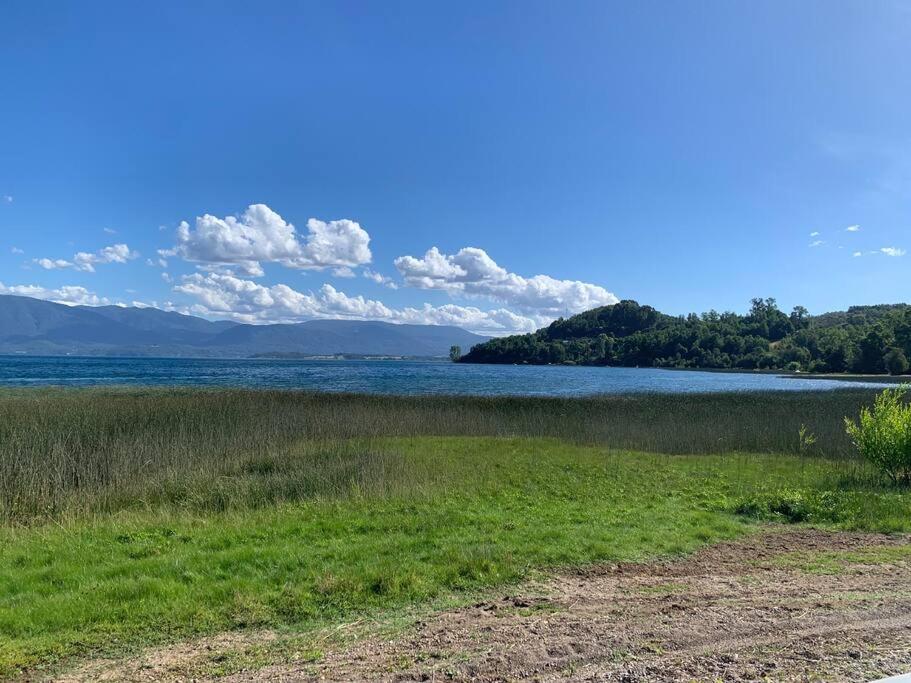 Cabaña laurel lago panguipulli