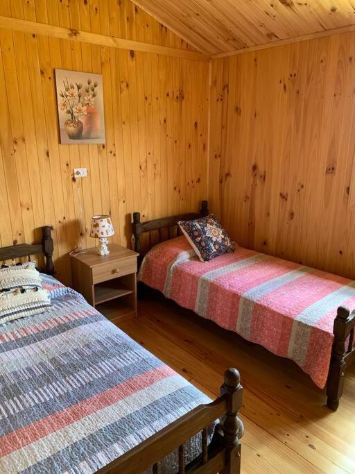 Cabaña laurel lago panguipulli