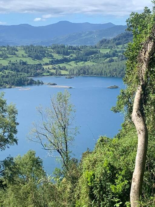Cabaña laurel lago panguipulli