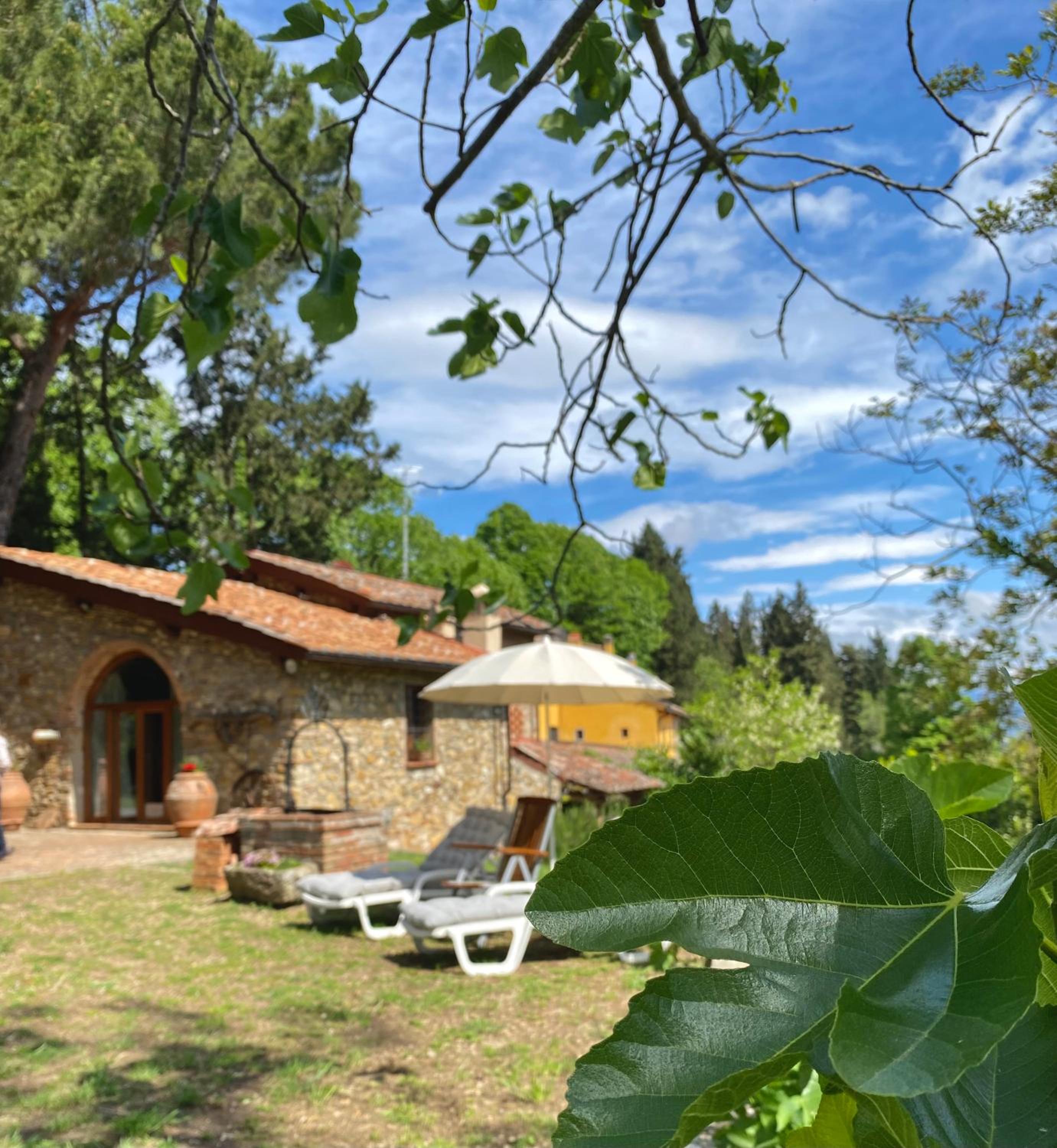 Berenice in Chianti - Authentic Tuscan Country House view 3