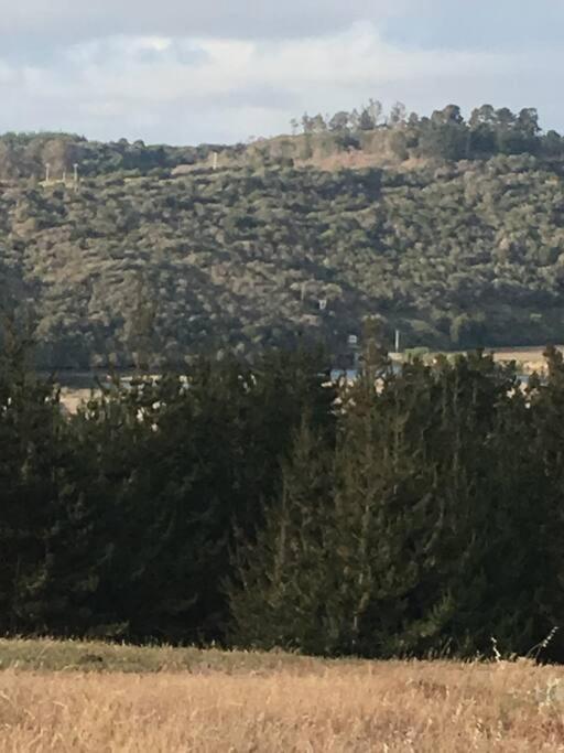 Paz y naturaleza