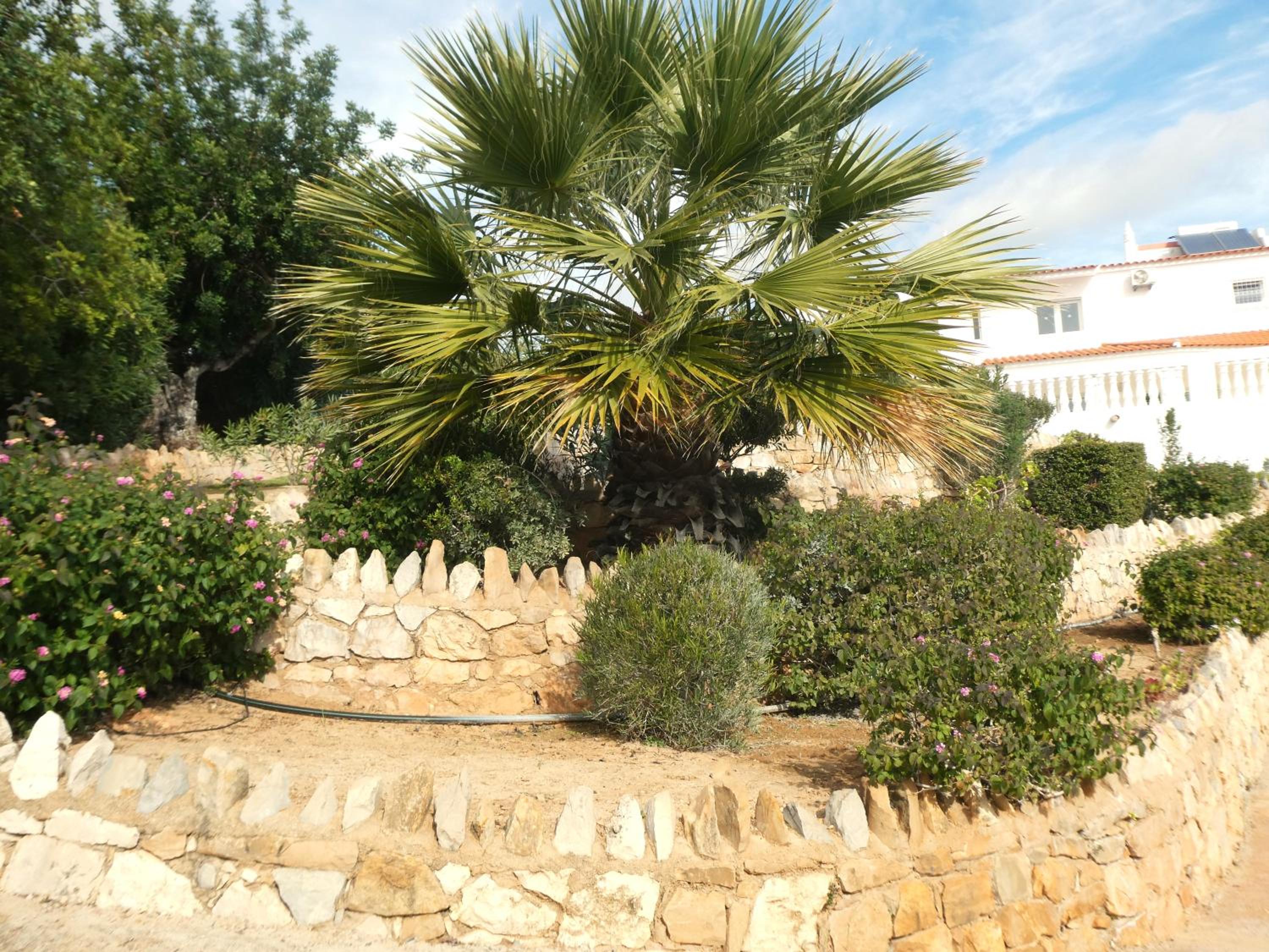 Photo 47