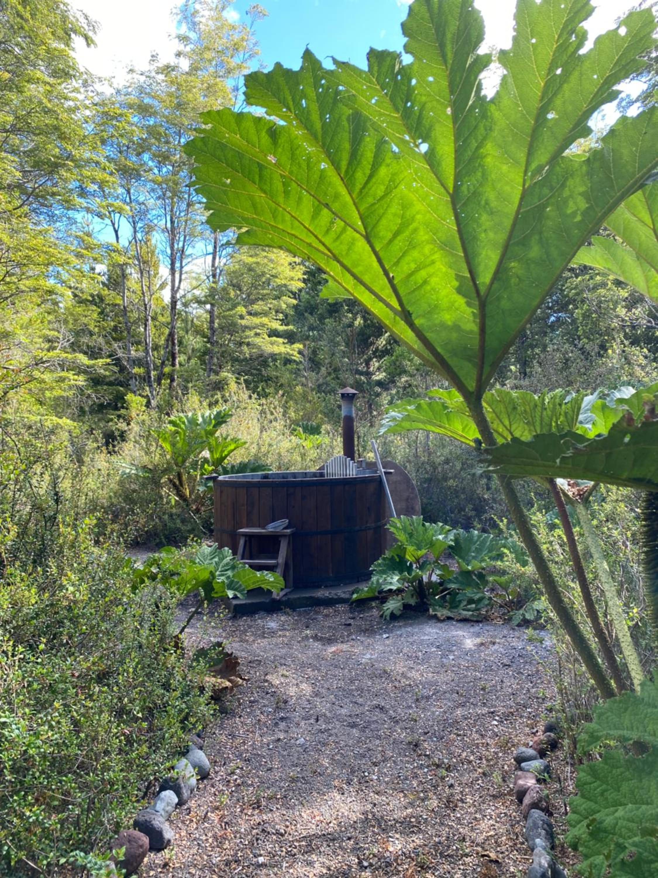 Ciervo Cabaña, Ensenada Campestre
