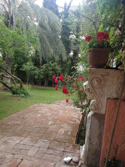 Villa with a big garden