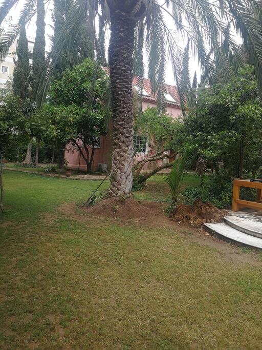 Villa with a big garden