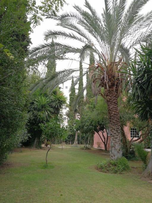 Villa with a big garden