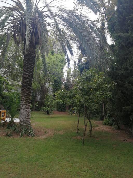 Villa with a big garden