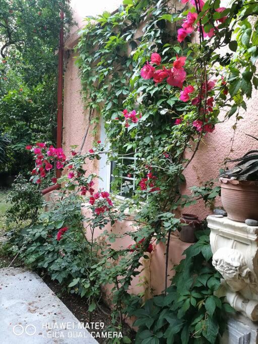 Villa with a big garden
