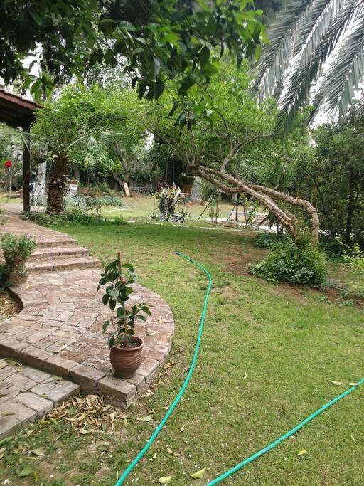 Villa with a big garden