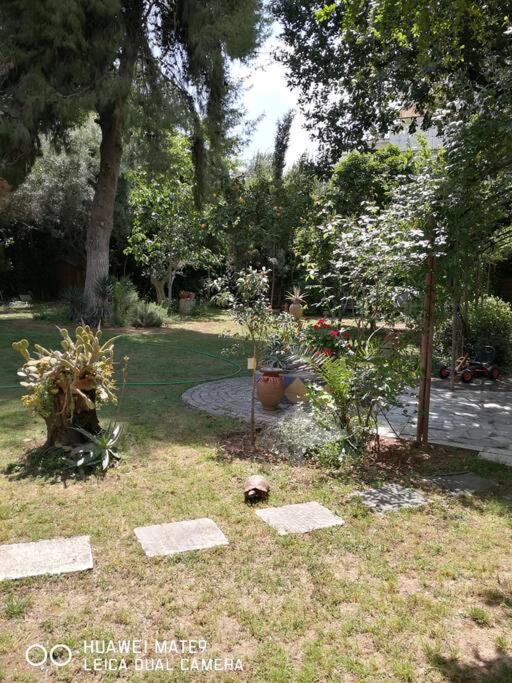 Villa with a big garden