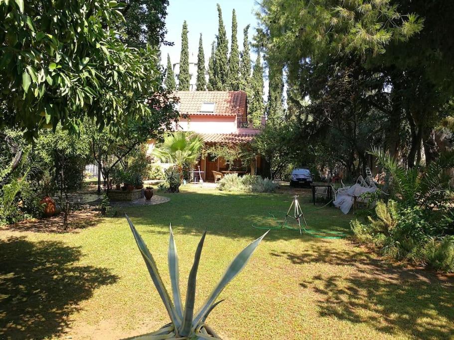 Villa with a big garden