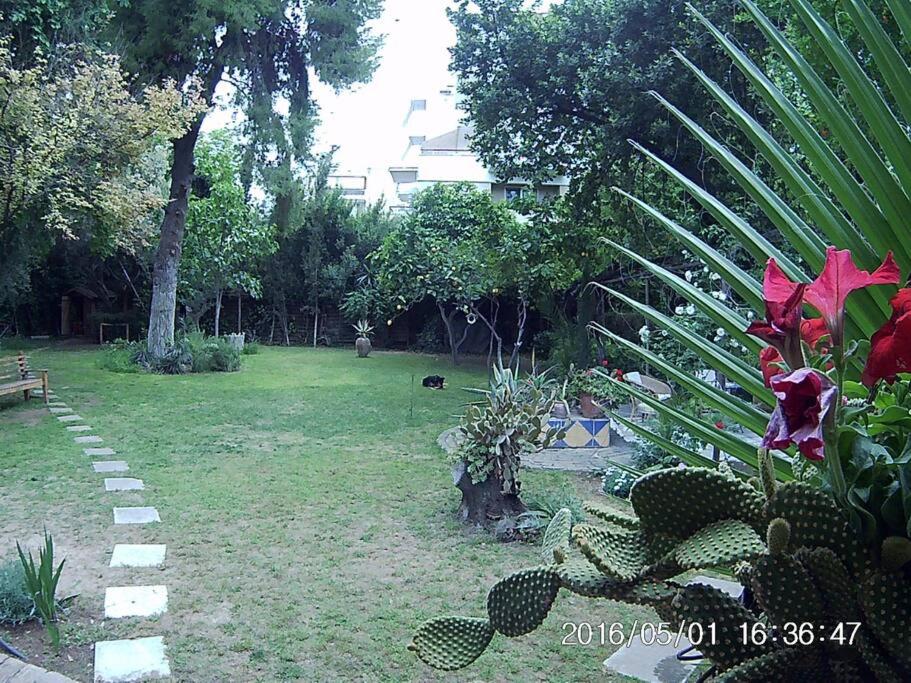 Villa with a big garden