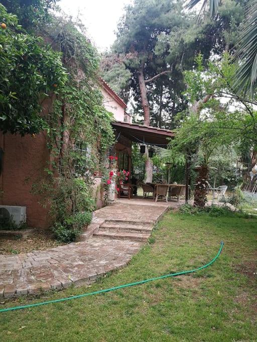 Villa with a big garden