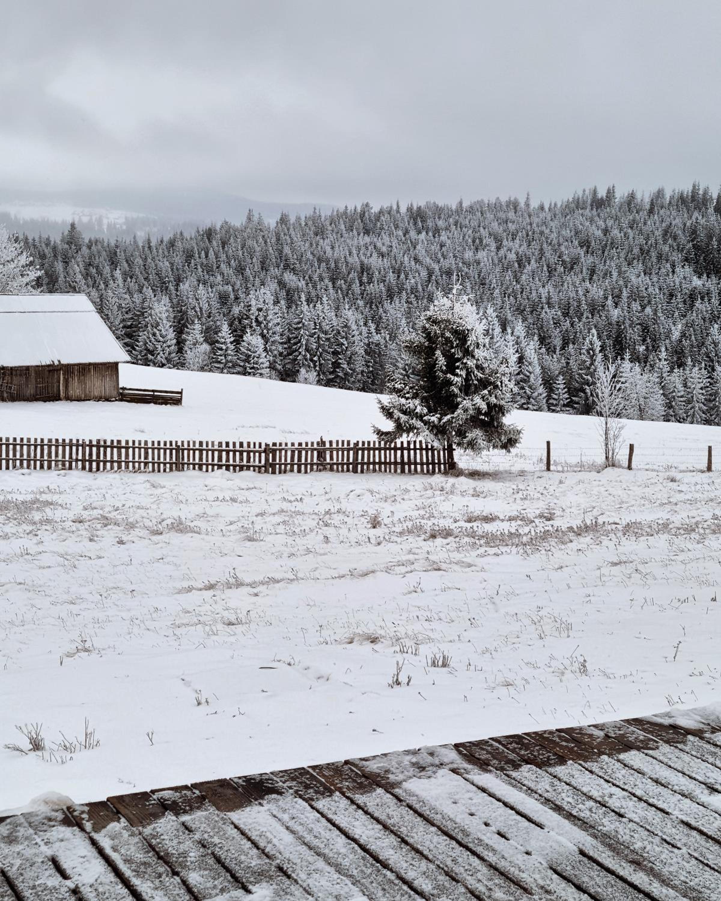 Mokki - A-frame cozy în Apuseni