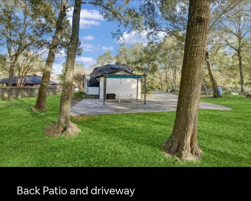 Lake Conroe Dome Home view 4